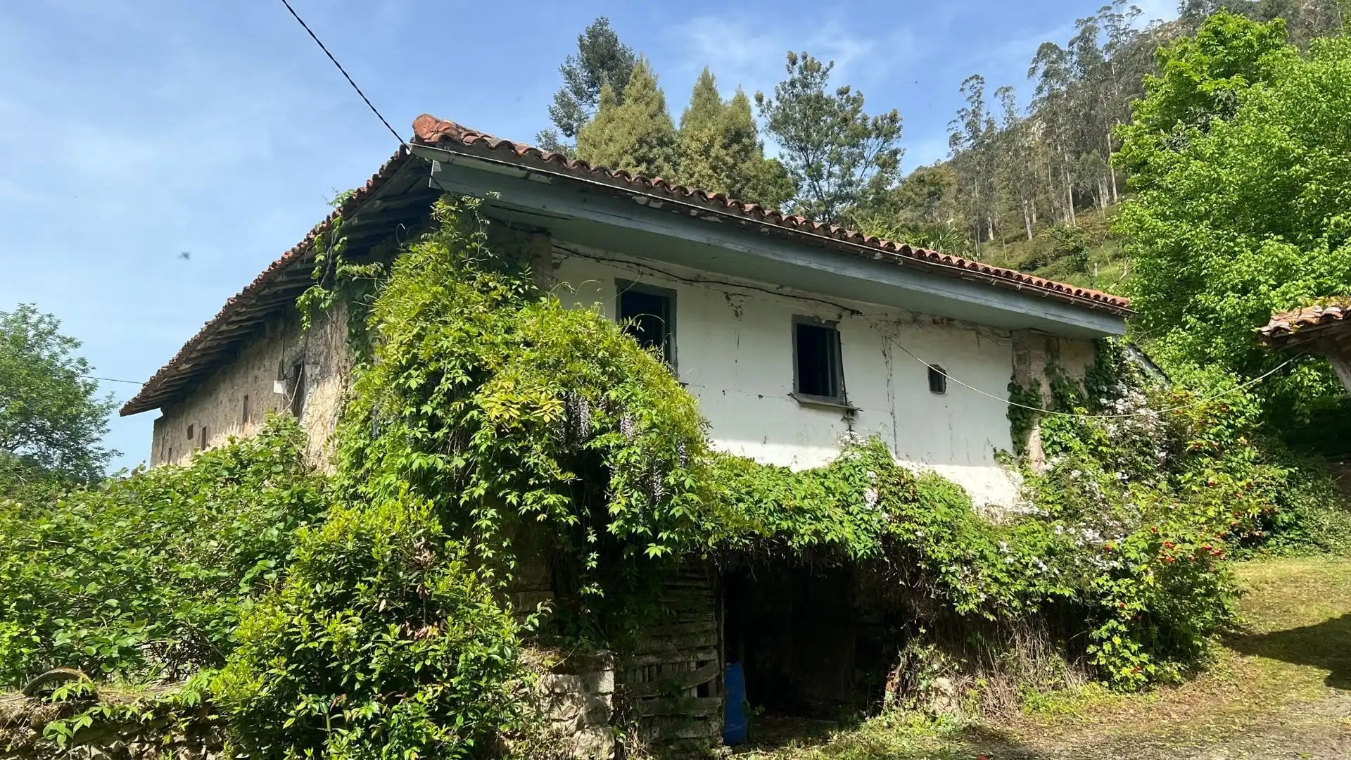 Vista exterior de Casa o xalet en venda en Cangas de Onís amb Jardí privat