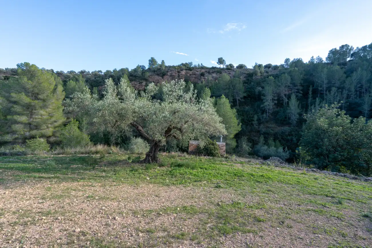 Terrain rustique à vendre à Tivenys, imagen 12