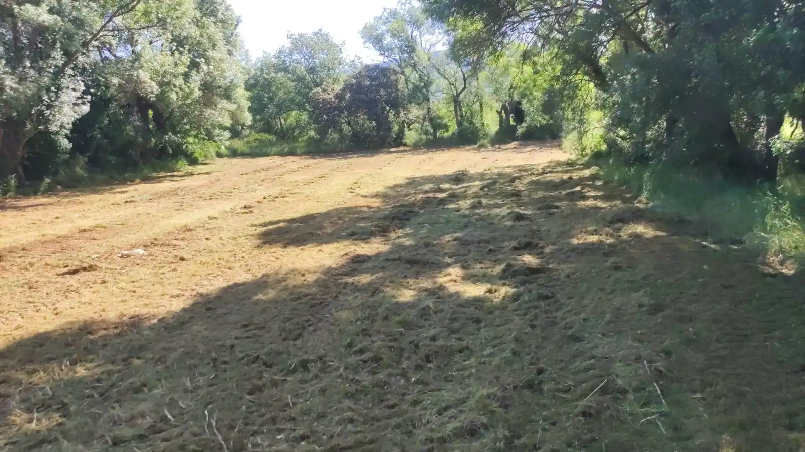 Terreni e lotti in vendita a Cubillos del Sil