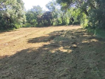 Terreni e lotti in vendita a Cubillos del Sil