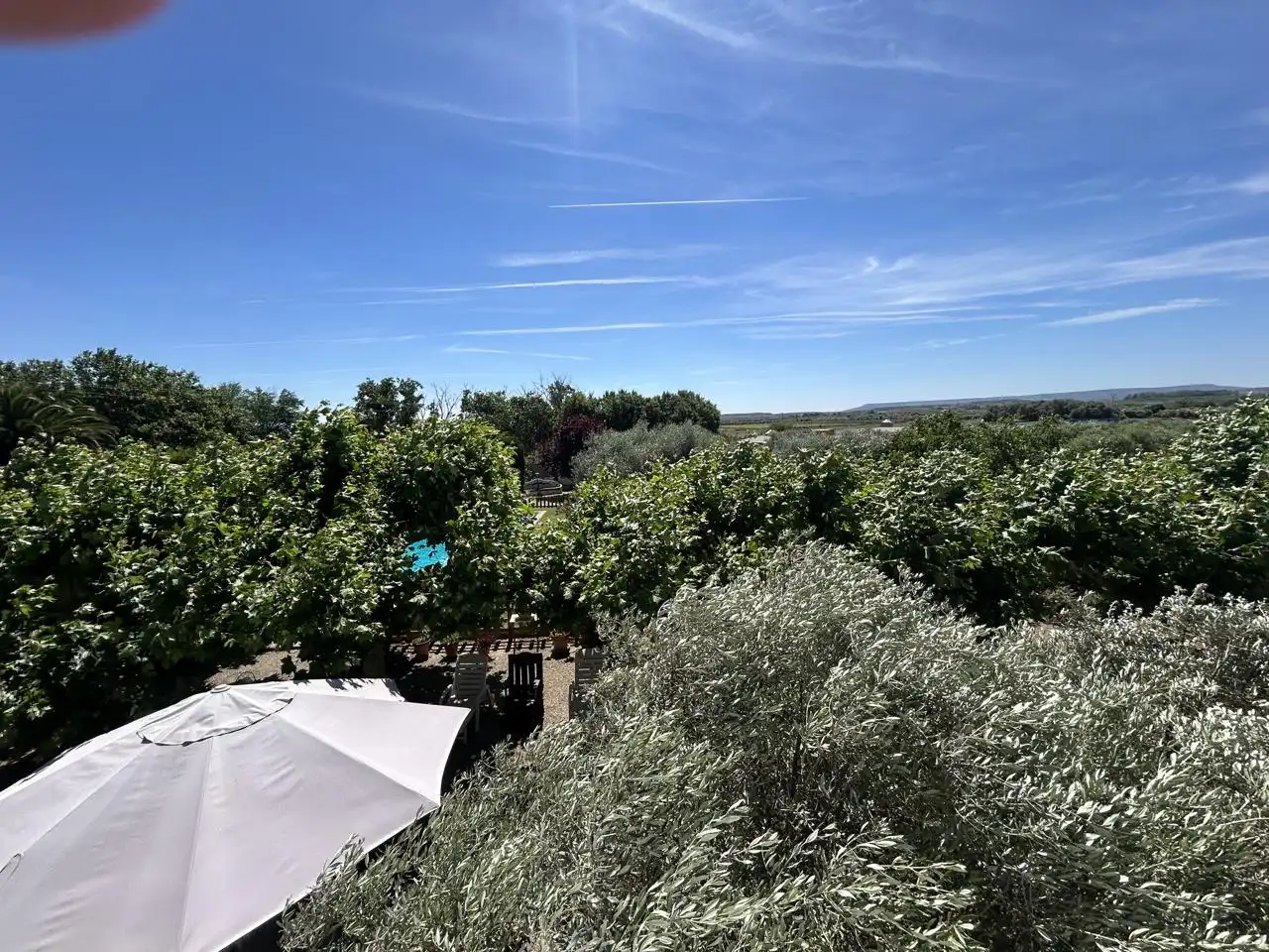 Country homes for sale in 0, Cascante