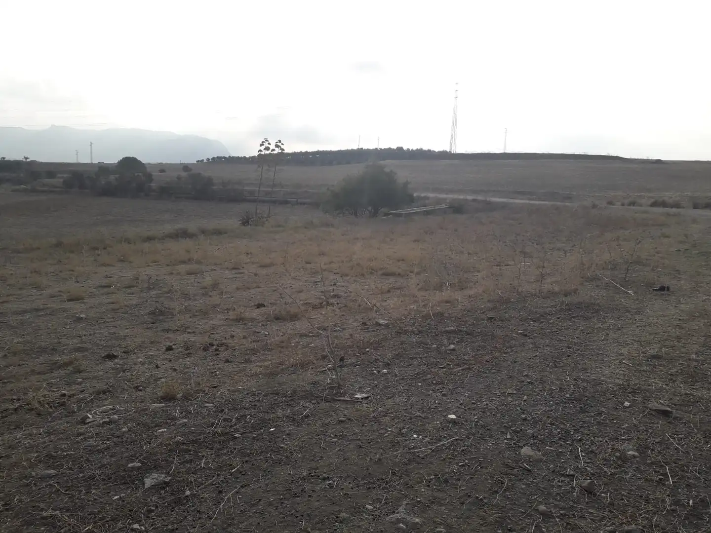 Terrenys i solars en venda a Coín, imagen 2