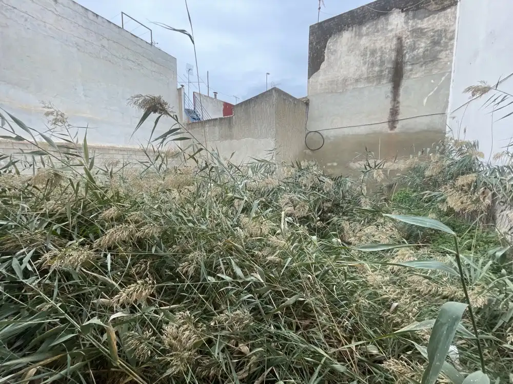 Terreno residenziale in vendita a Dolores, imagen 2