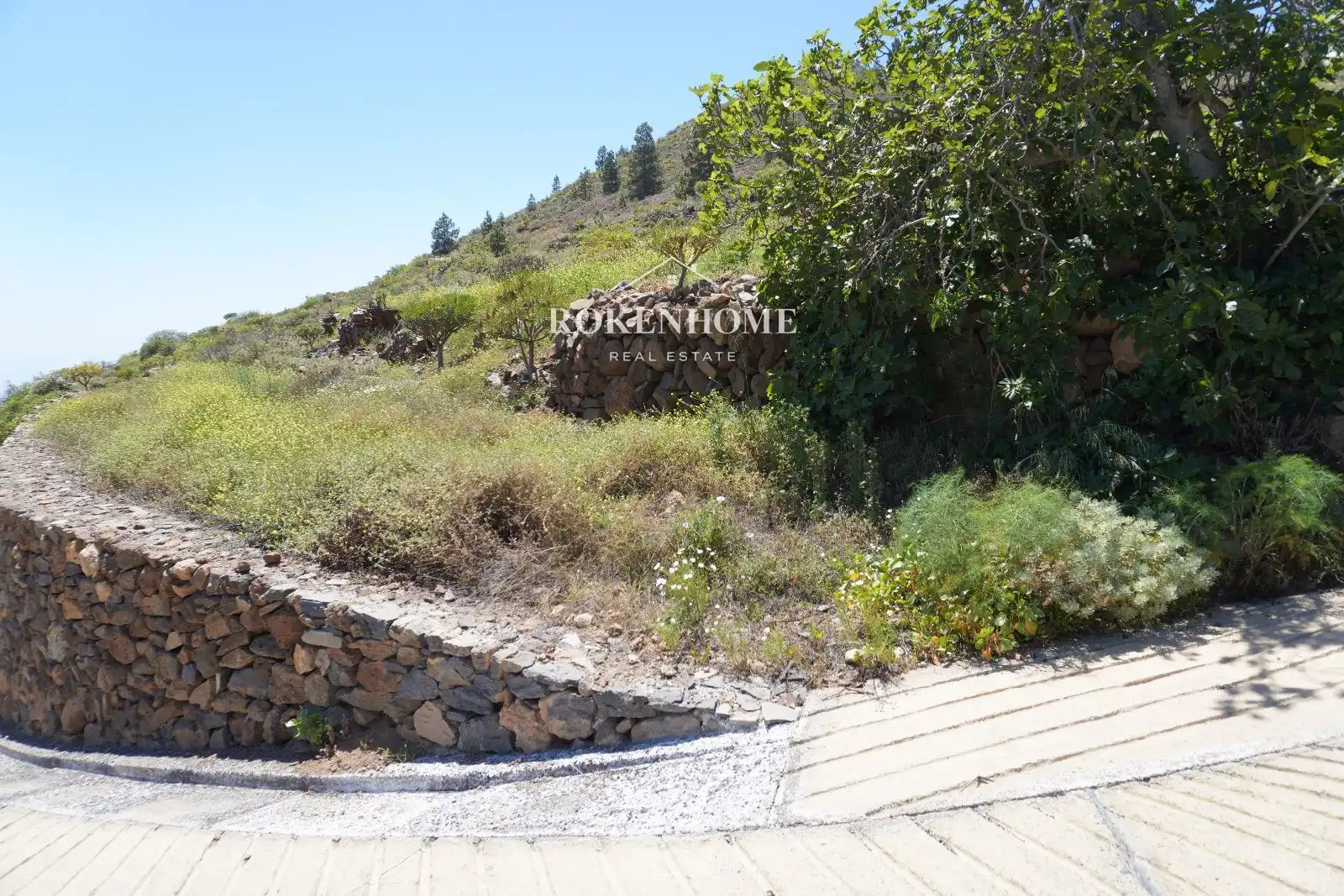 Terreno en venta en Guía de Isora