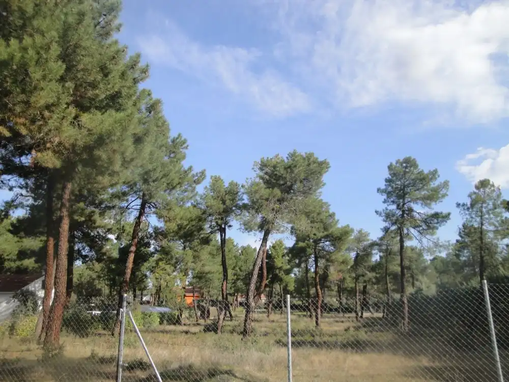 Residencial en venta en Marugán