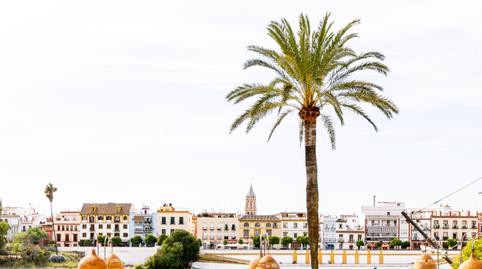 Photo 5 of Apartment for sale in Arenal - Museo, Sevilla