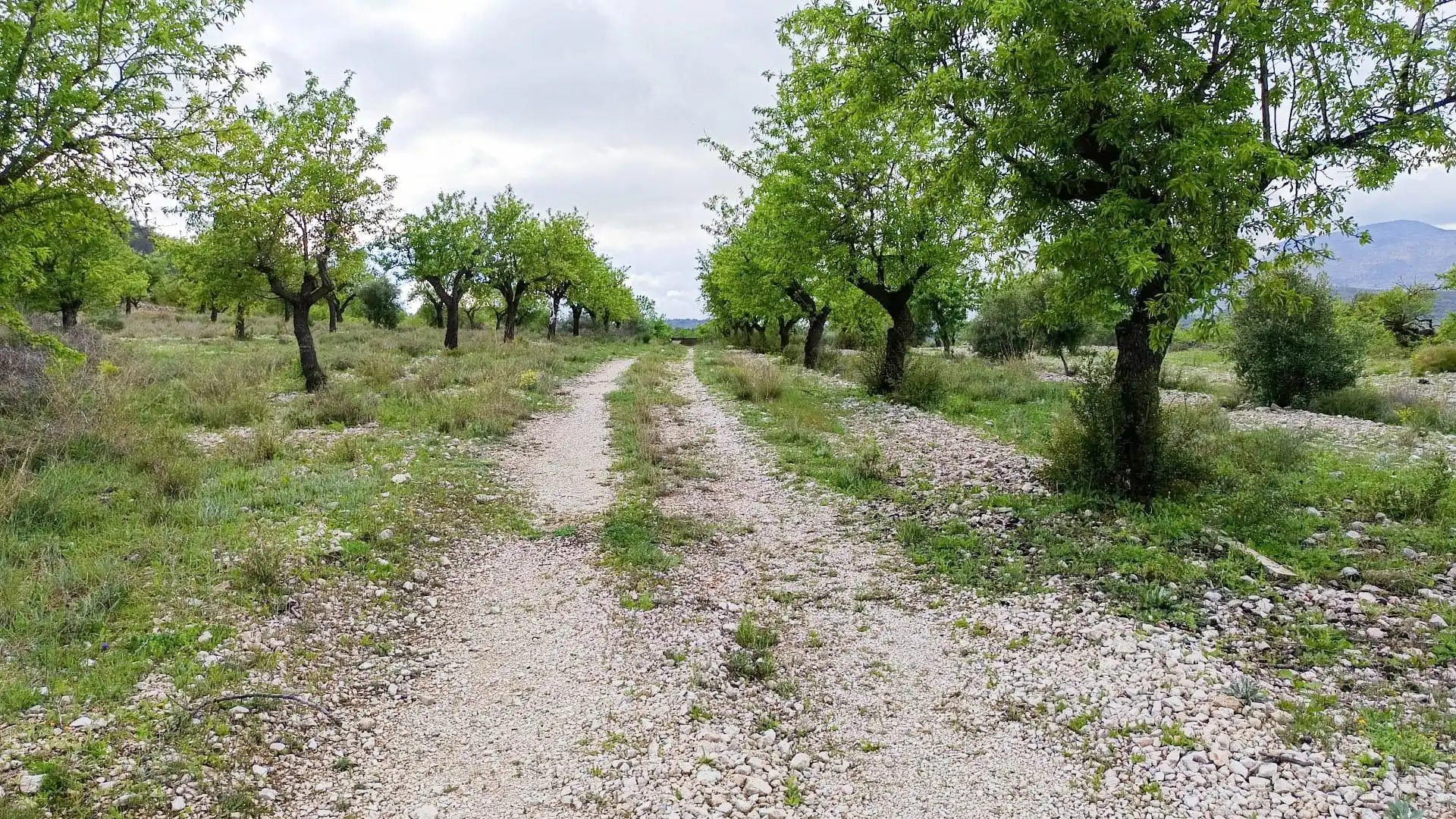 Haus mit Garten zum Verkauf in Hondón de las Nieves / El Fondó de les Neus, imagen 13