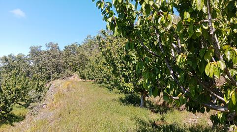 Foto 5 de Terreno en venta en N/a, -1, Barrado, Cáceres