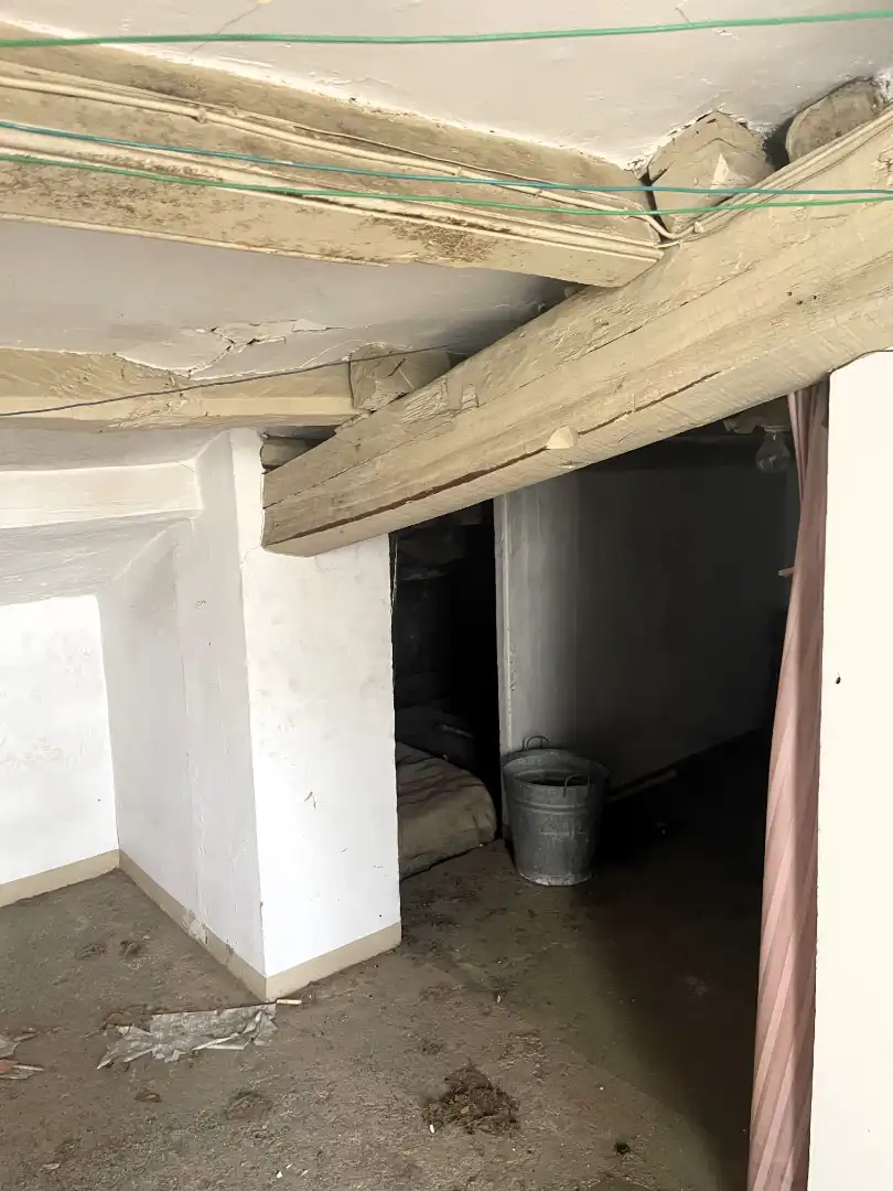 Résidentiel à vendre à Olot, imagen 3