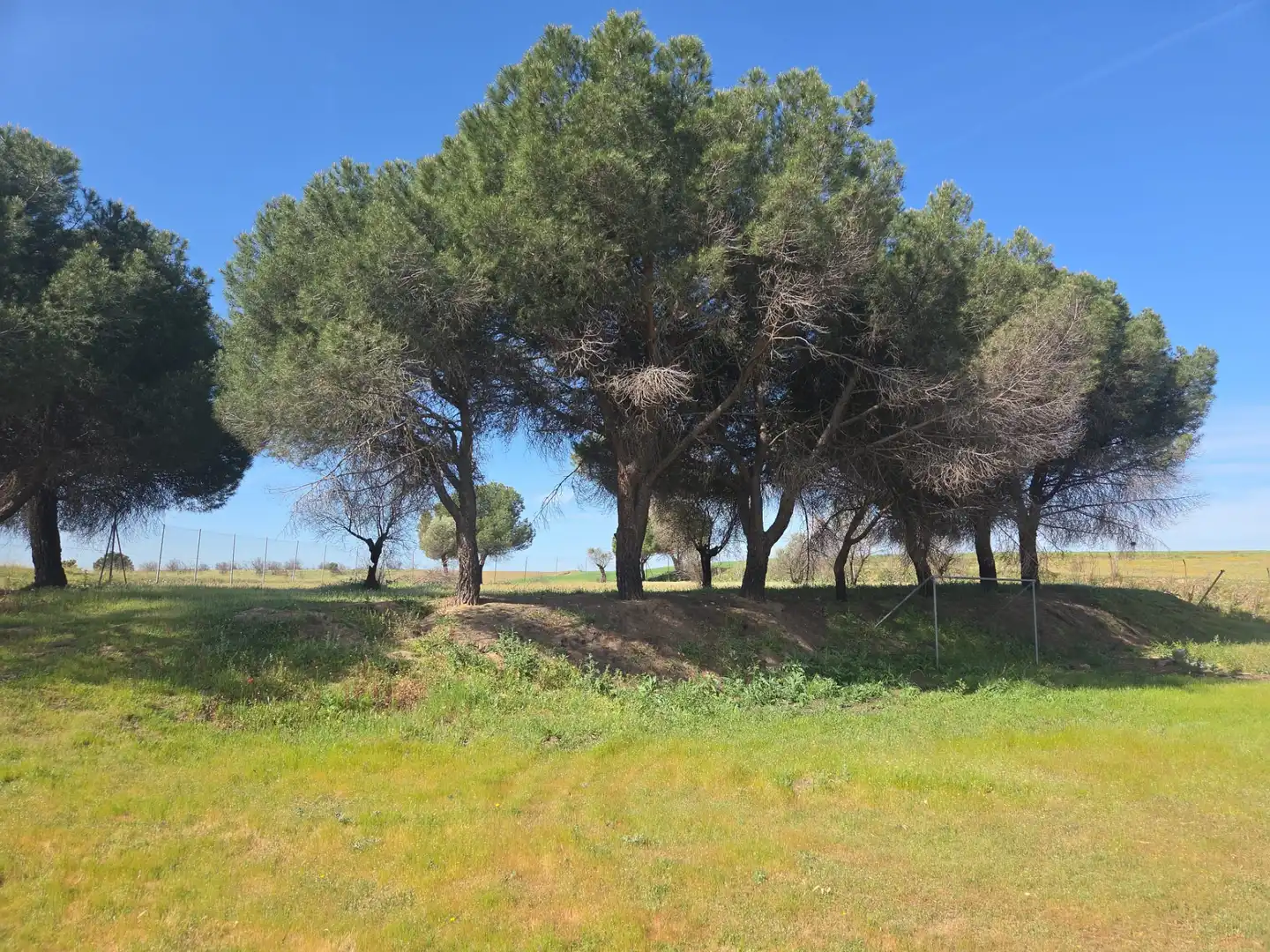 Finca rústica en venta en Navalcarnero