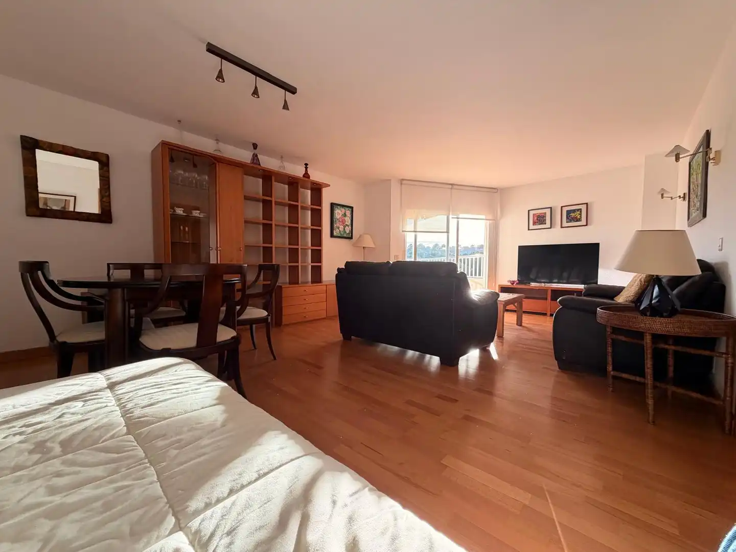 Sala d'estar de Pis en venda en  Palma de Mallorca amb Aire condicionat, Terrassa i Piscina comunitària