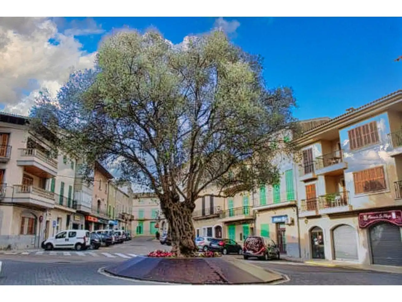 Terreny rústic en venda a Calle Santa Catalina Tomás 17, imagen 6