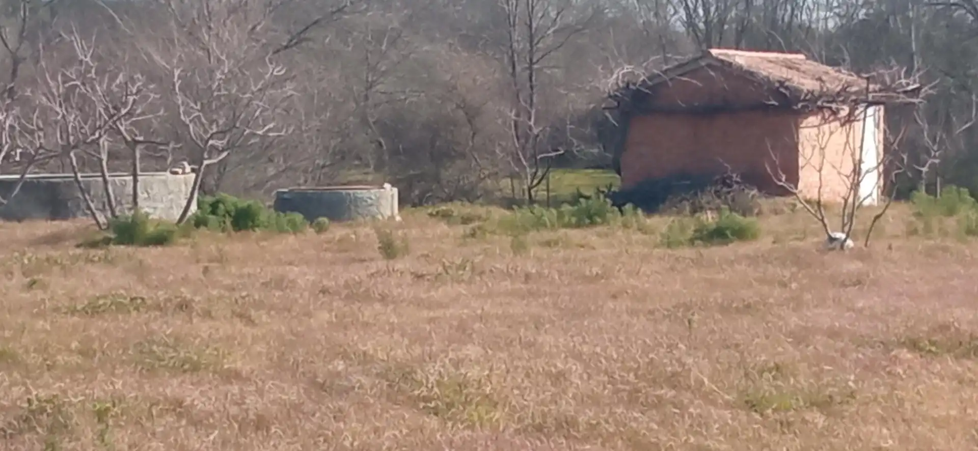 Terreno rustico in vendita a Candeleda