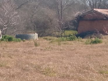 Terreno rustico in vendita a Candeleda