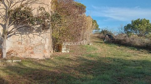 Foto 2 de Finca rústica en venda a Calle Camí Ral, 187, Tordera pueblo, Tordera