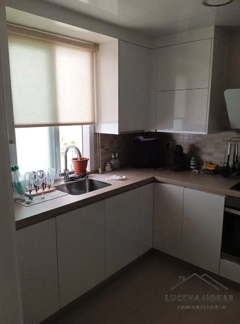 Kitchen of Flat for sale in Jardin Lucena