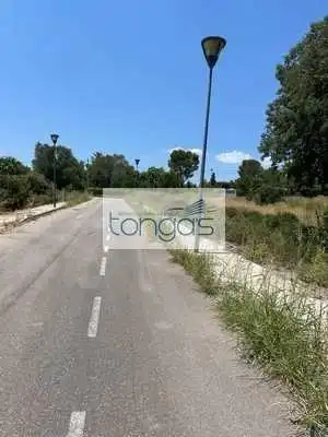Terreny residencial en venda a Xàtiva, imagen 3