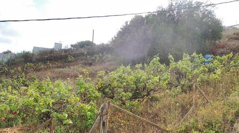 Photo 3 of Residential for sale in Los Alvarados - Fuente los Berros - Bandama, Santa Brígida