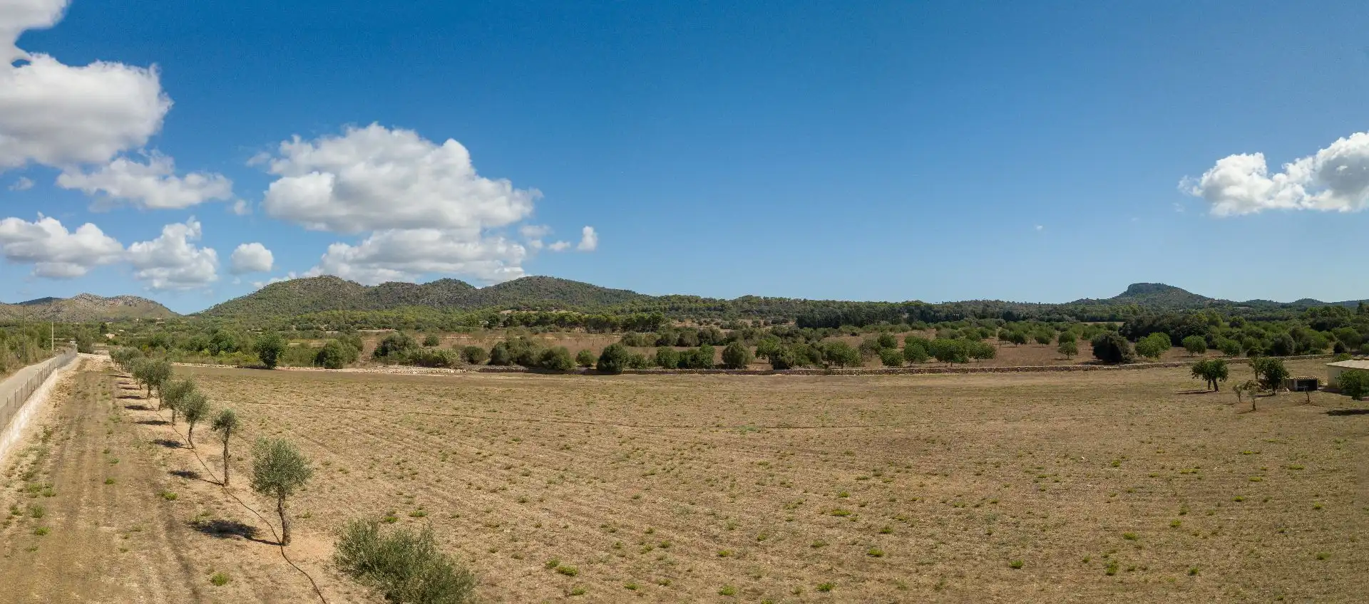 Rural land for sale in Son Vives, imagen 16