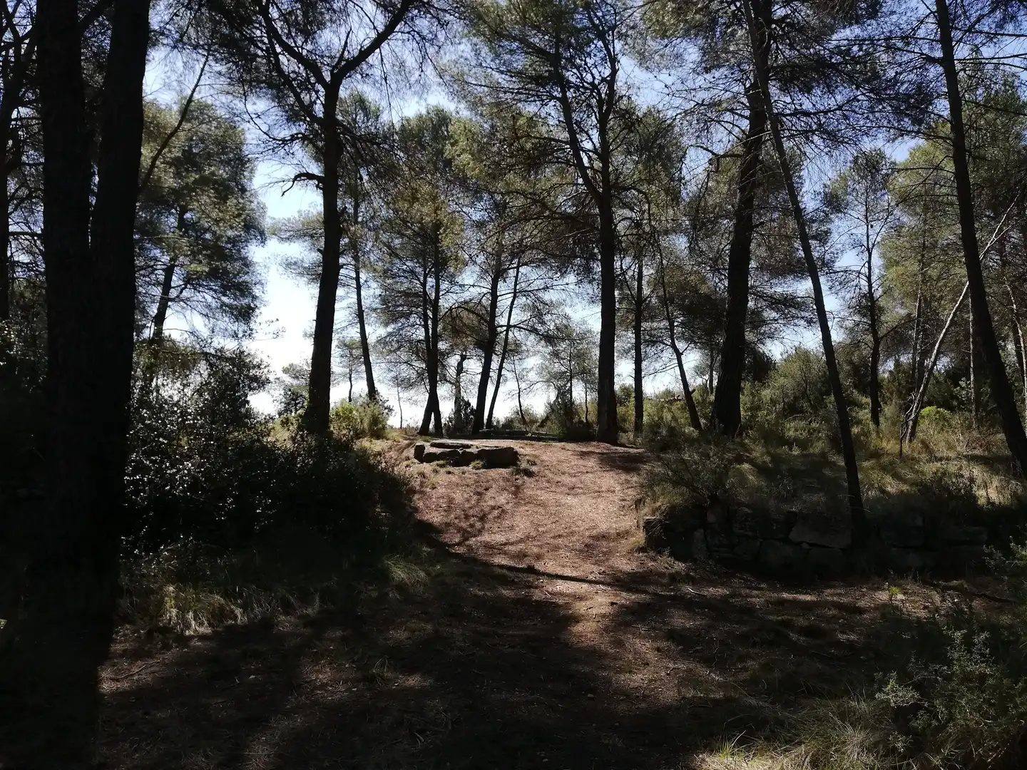 Residencial en venta en La Pobla de Claramunt