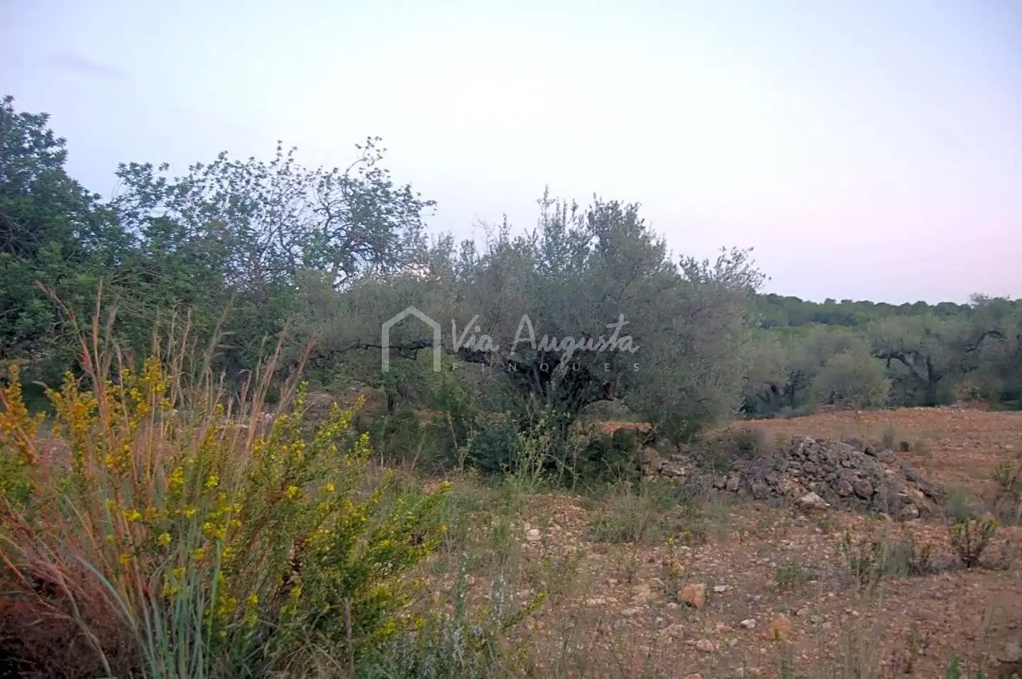 Terreno rustico in vendita a Suis, imagen 8