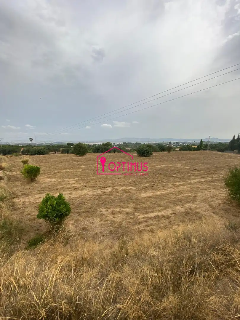 Casa o chalet en venta en Loriguilla con Piscina