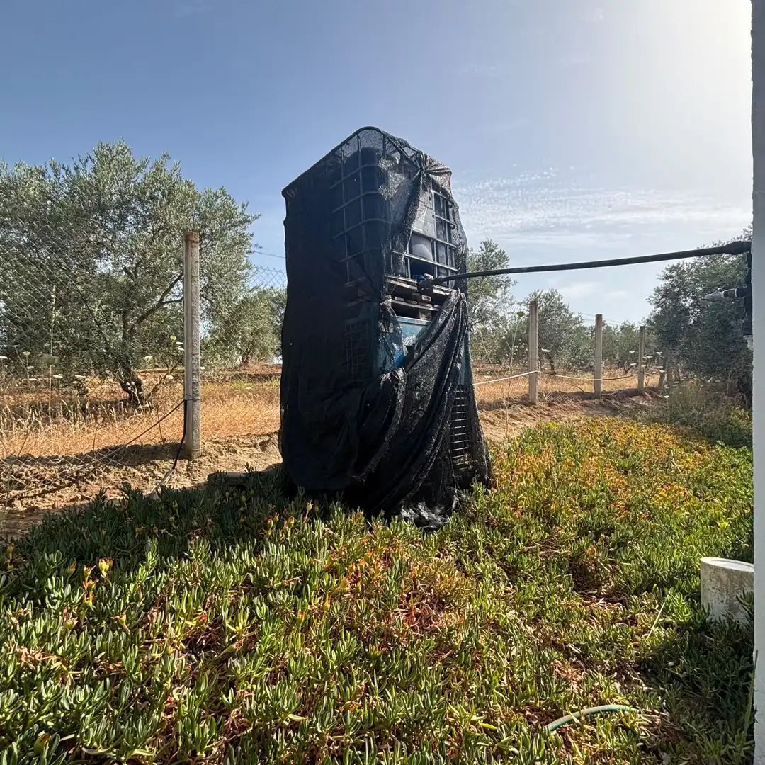 Jardí de Finca rústica en venda en Almonte