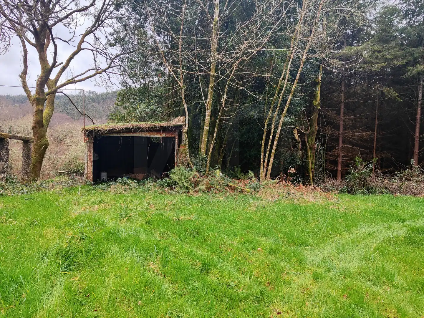 Finca rústica en venda en A Capela 