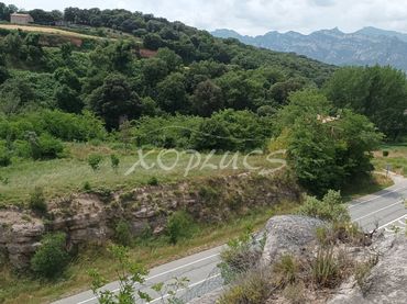 Terreni e lotti in vendita a Berga