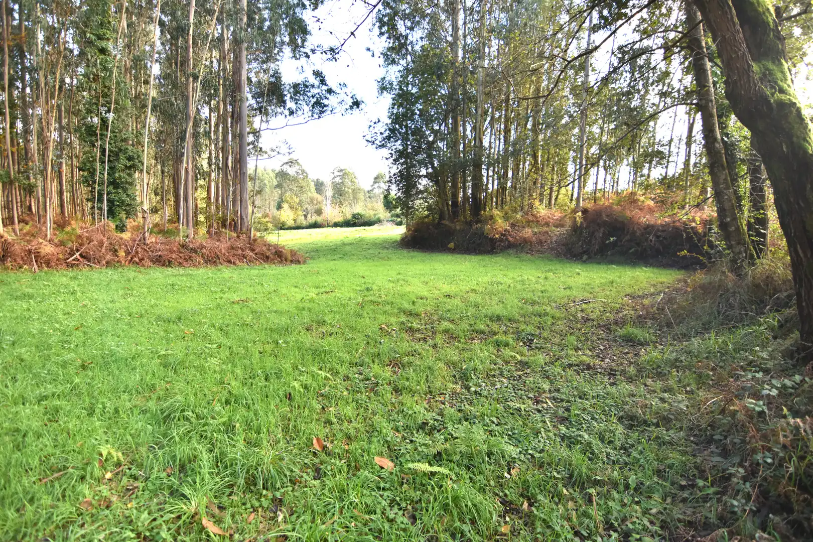 Houses for sale in Narón  with Heating, Private garden and Storage room