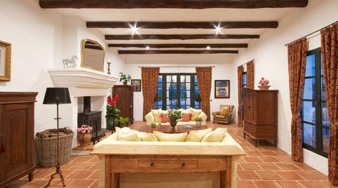 Foto 5 de Finca rústica en venda a Montellano, Sevilla