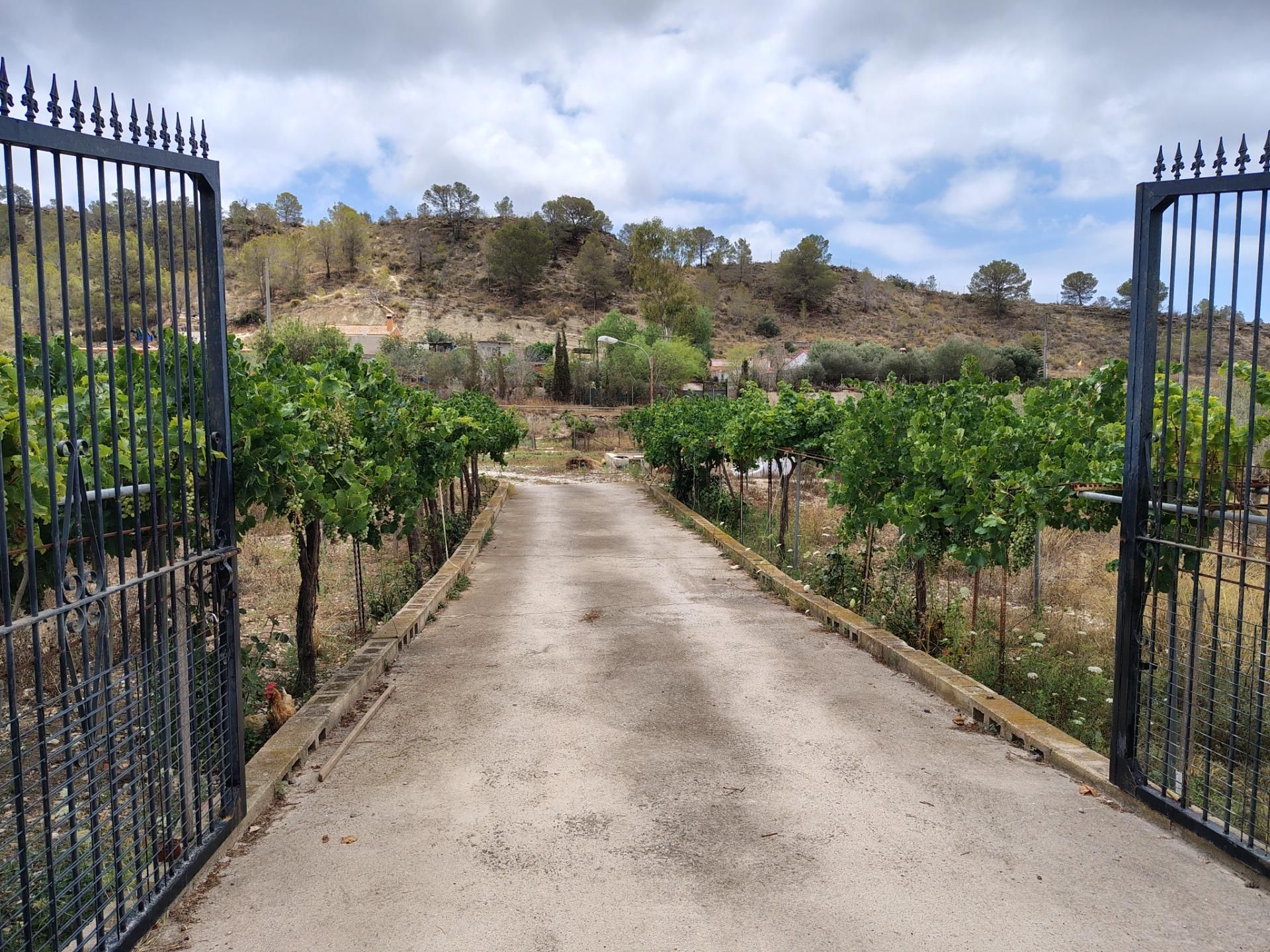 Exterior view of House or chalet for sale in Villajoyosa / La Vila Joiosa  with Private garden, Terrace and Storage room