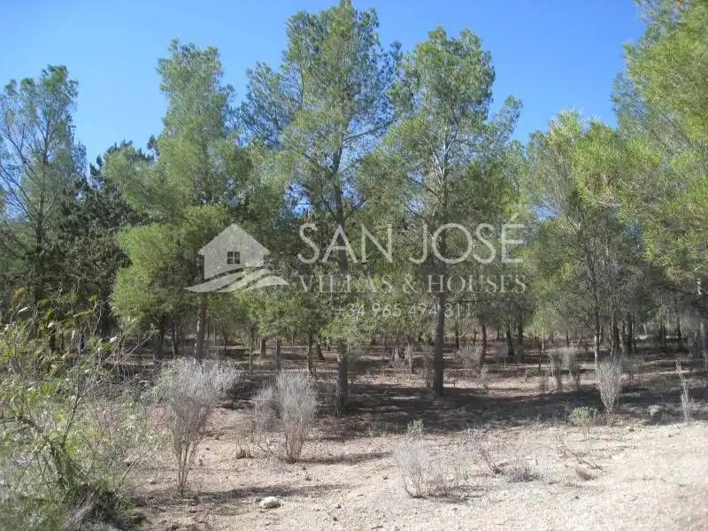 Villa avec terrasse à vendre à Monóvar  / Monòver, imagen 9