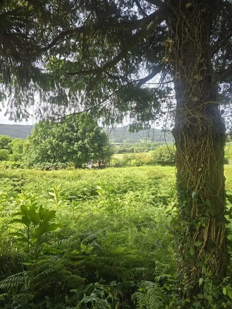 Casa rústica amb jardí en venda a Moeche, imagen 33