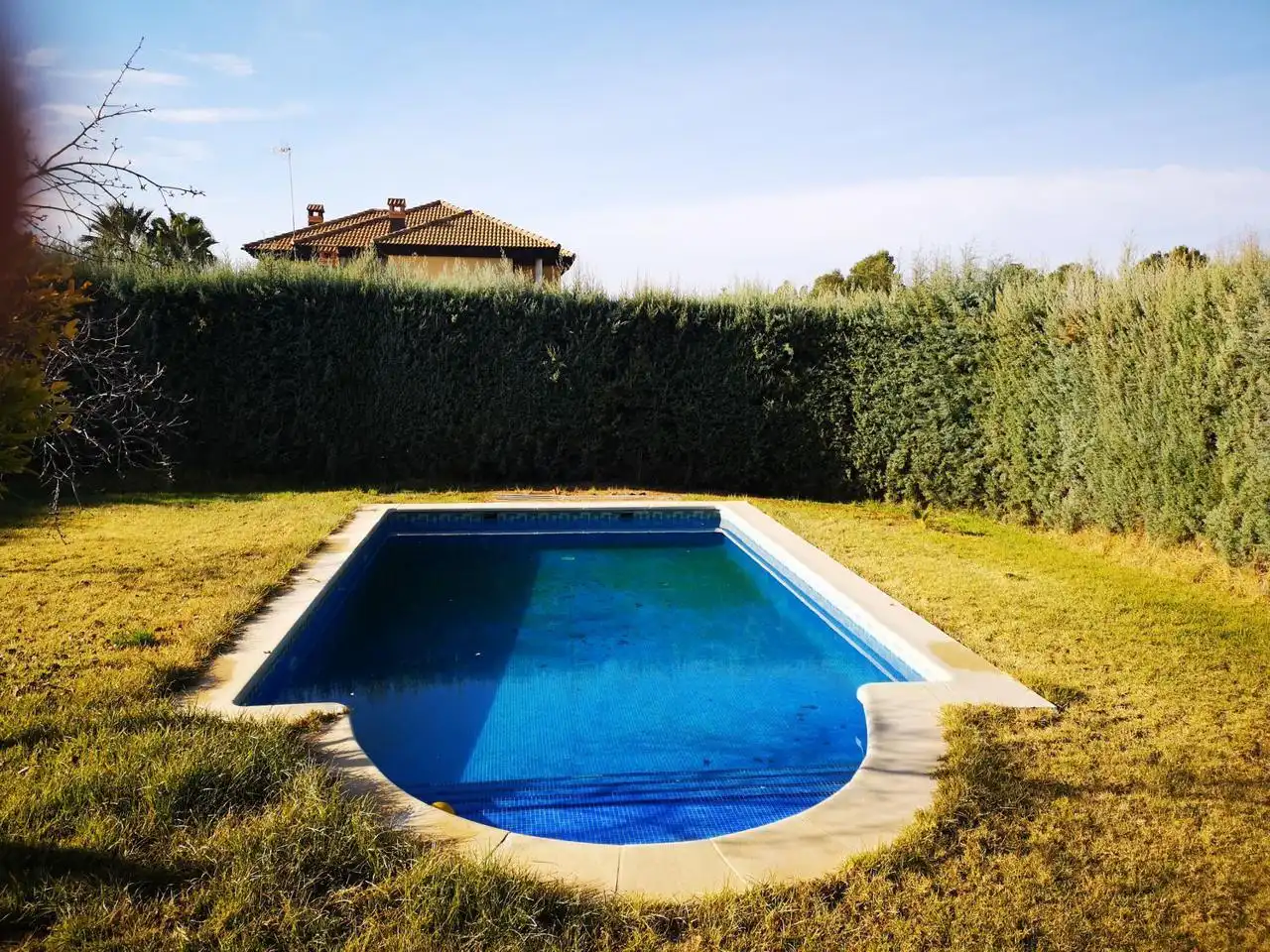 Piscina de Casa o xalet en venda en Linares