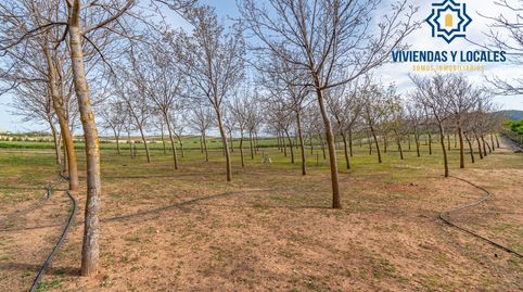 Finca rústica en venta con casa, nave y piscina, immagine 3