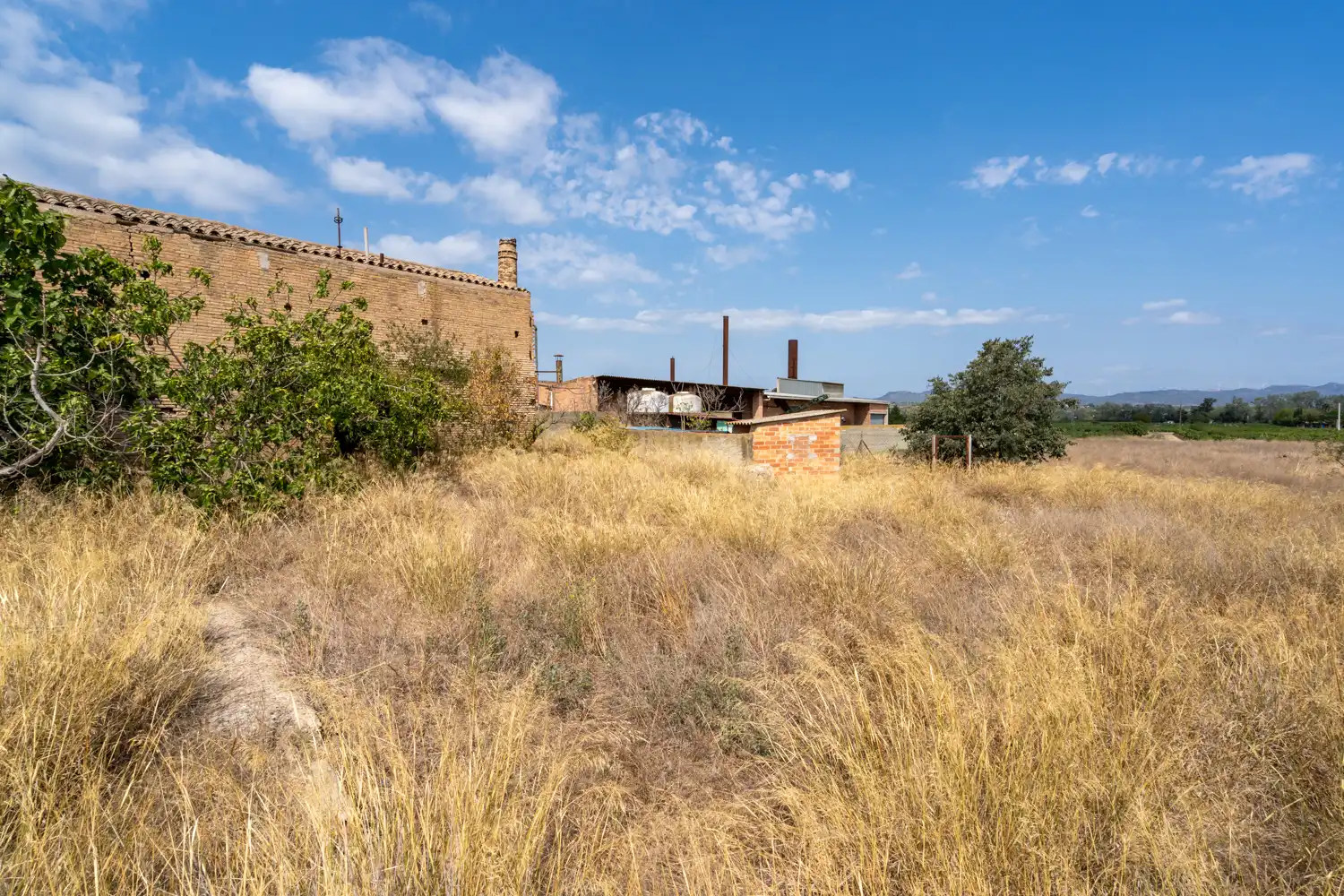 Rural land for sale in Ginestar, imagen 6