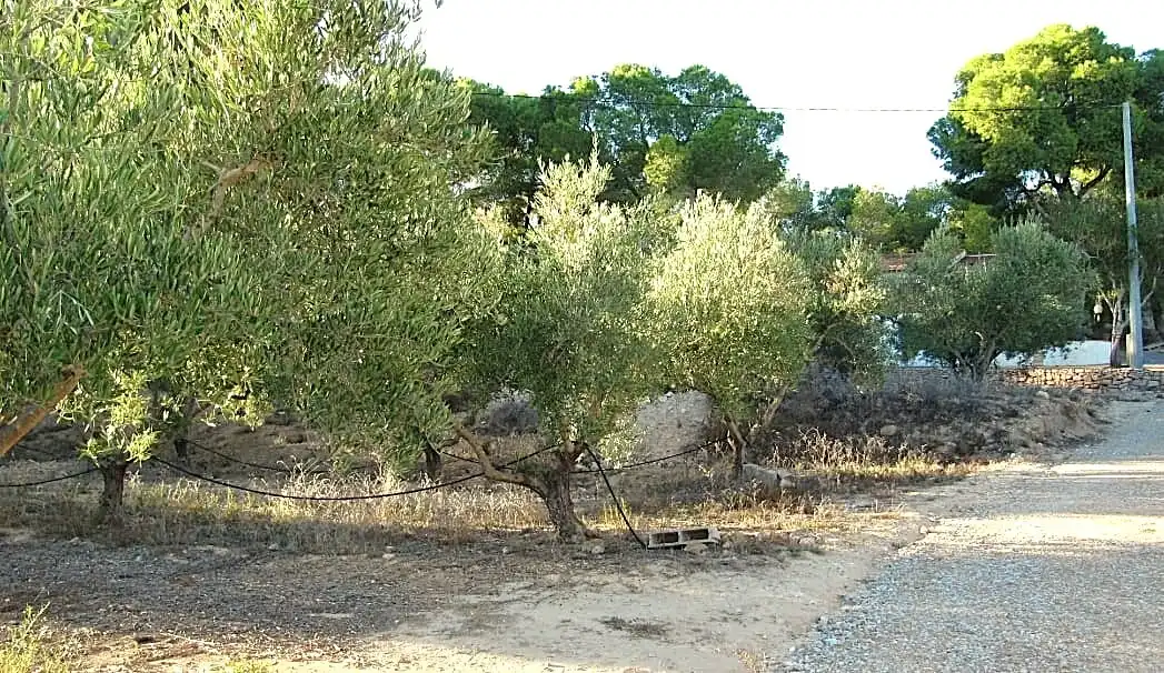 Terreno residenziale in vendita a Campo de Murcia, imagen 17