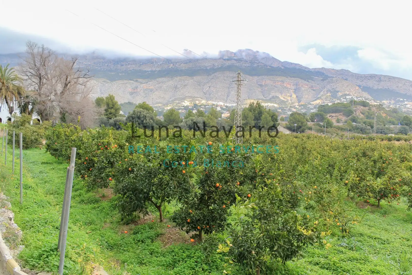 Terreny rústic en venda a Partida Pila, imagen 15