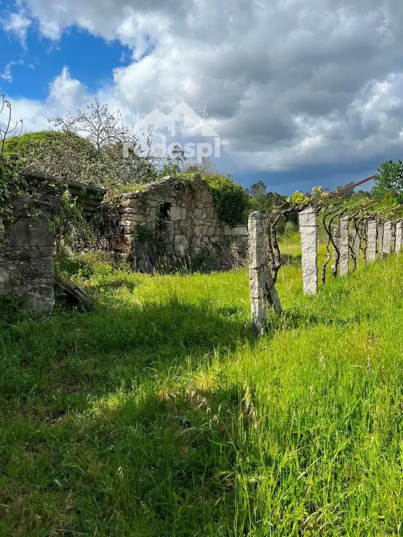 Terreny rústic en venda a Salvaterra de Miño, imagen 3