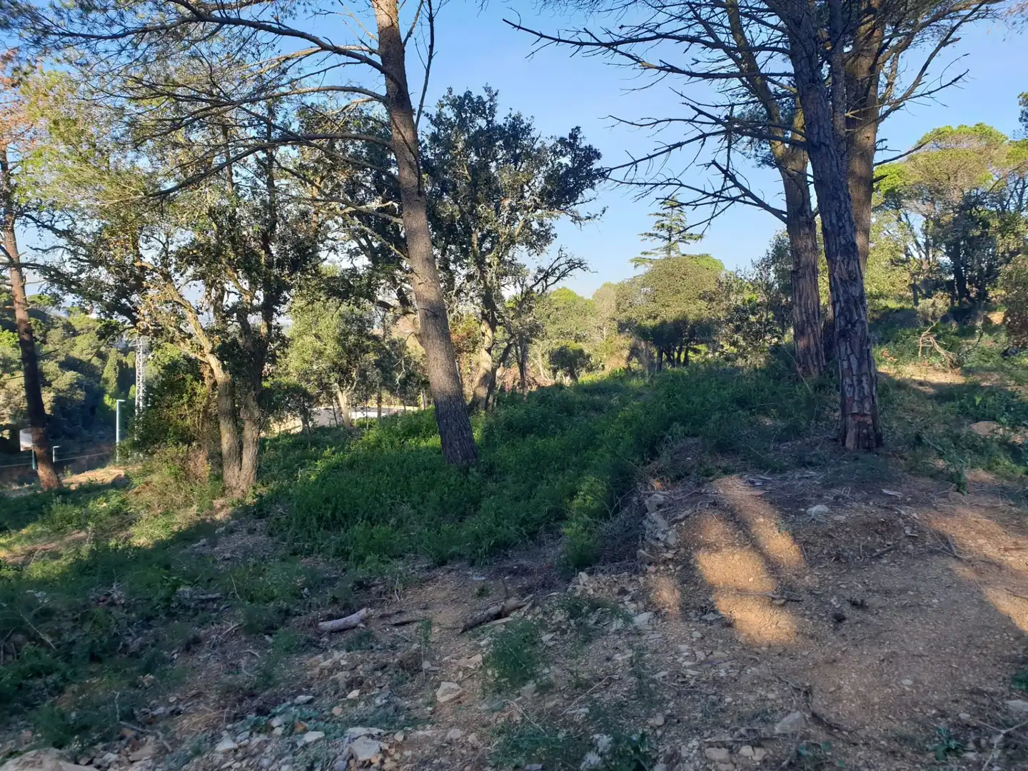 Terrenos y solares en venta en Begur pueblo, imagen 5