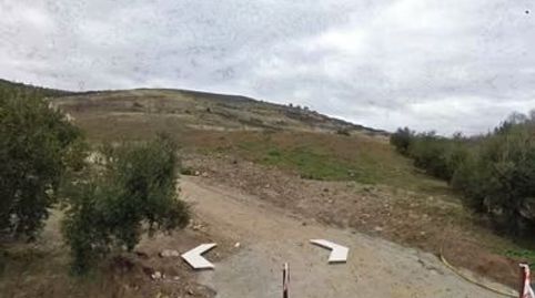 OPORTUNIDAD FINCA OLIVAR JOVEN