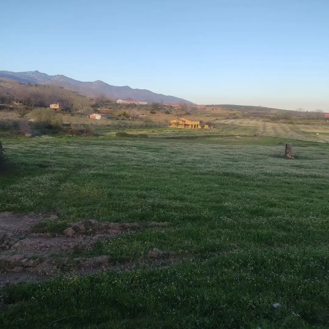 Terreni e lotti in vendita a Avenida de Doña Soledad Vega Ortiz, imagen 5