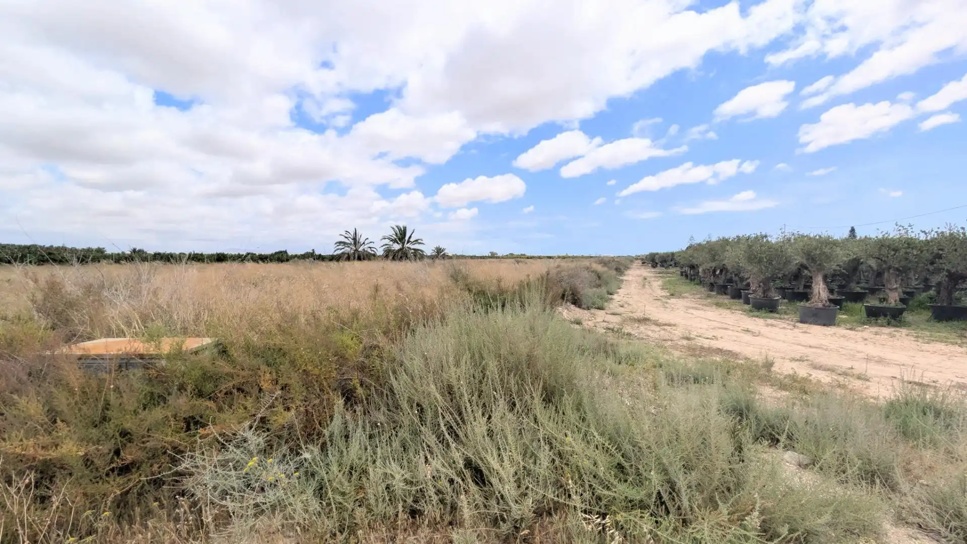 Terrain rustique à vendre à Las Bayas, imagen 4