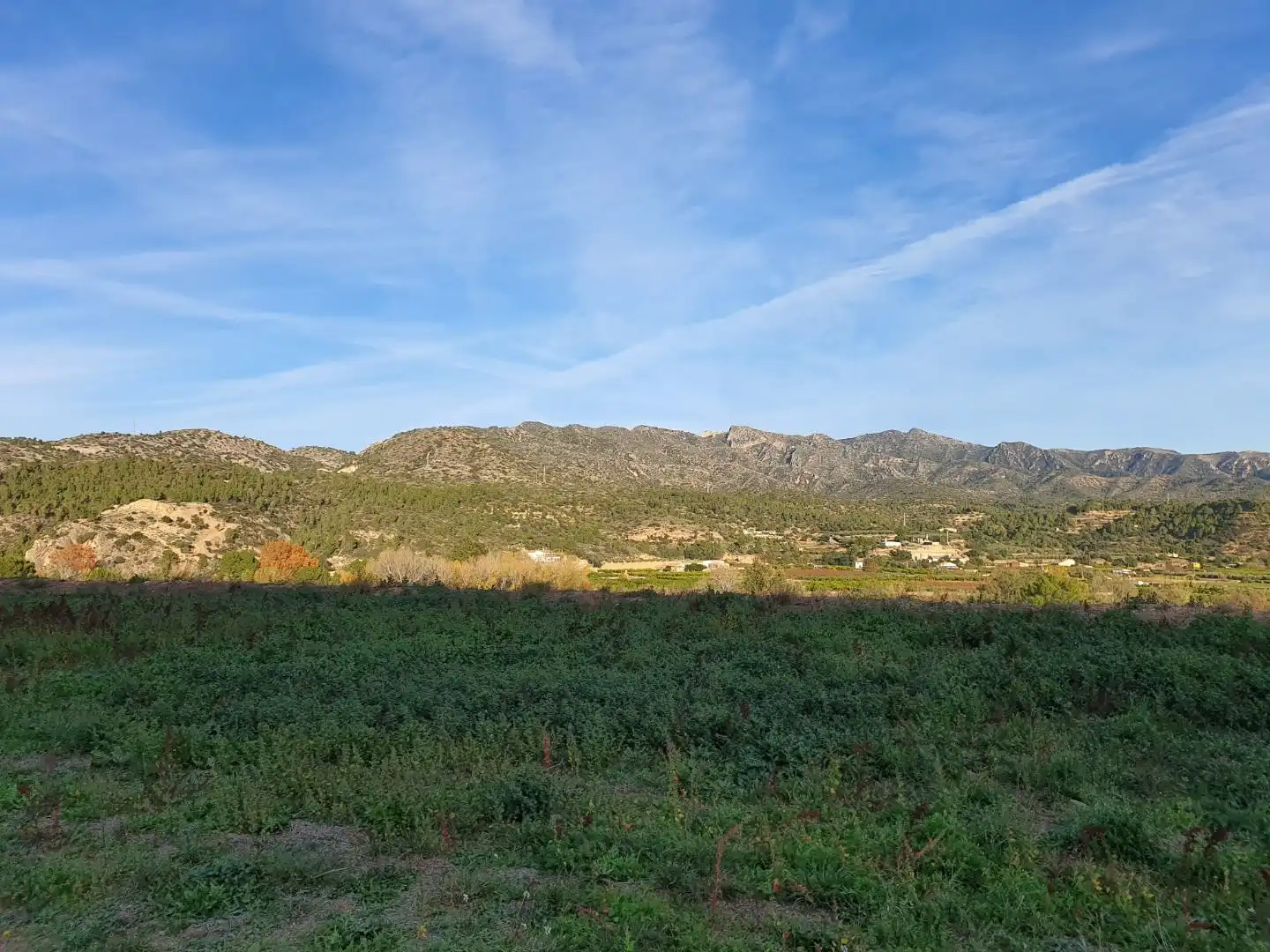 Terrain résidentiel à vendre à Xerta, imagen 5