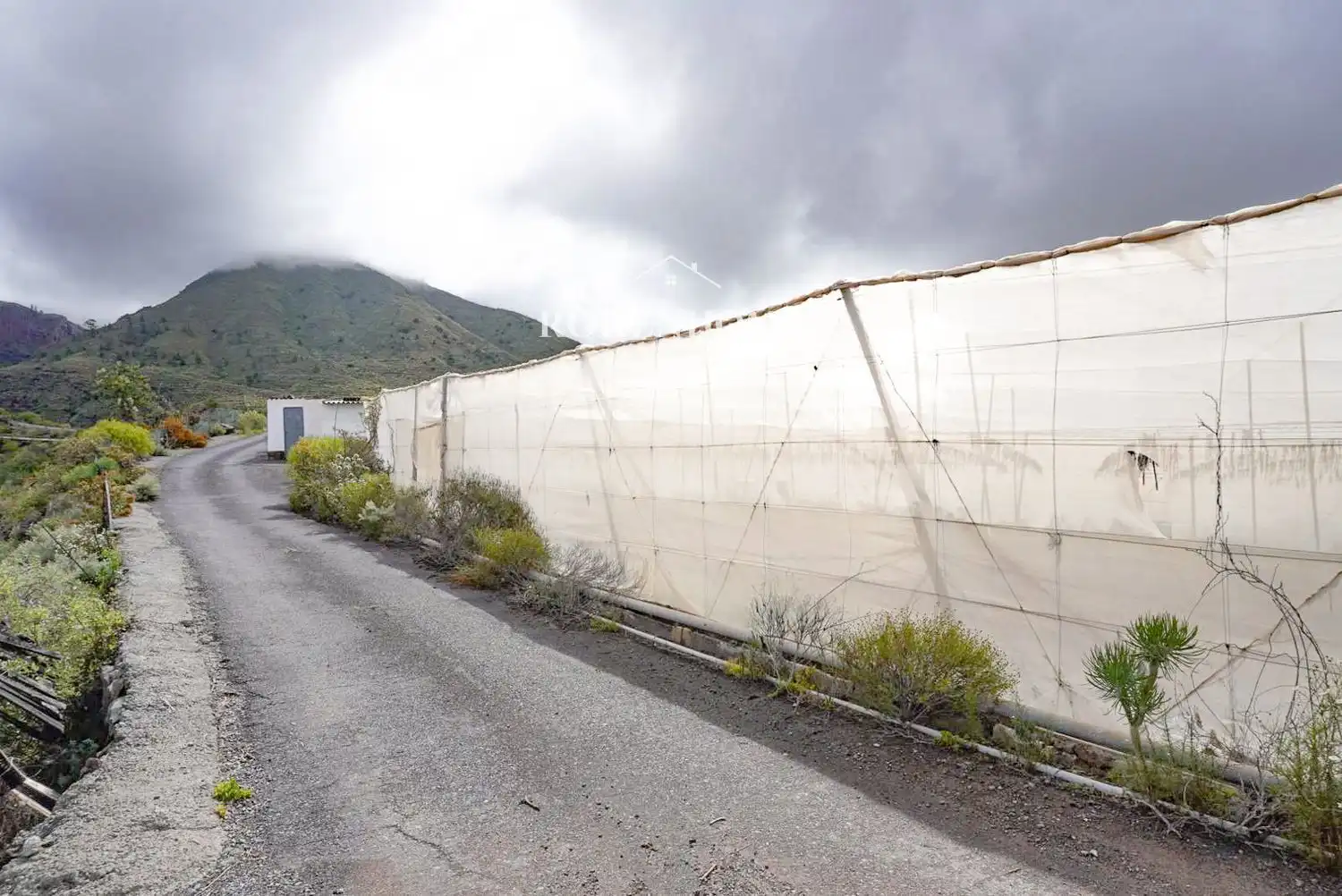 Rural land for sale in Piedra Hincada, imagen 8