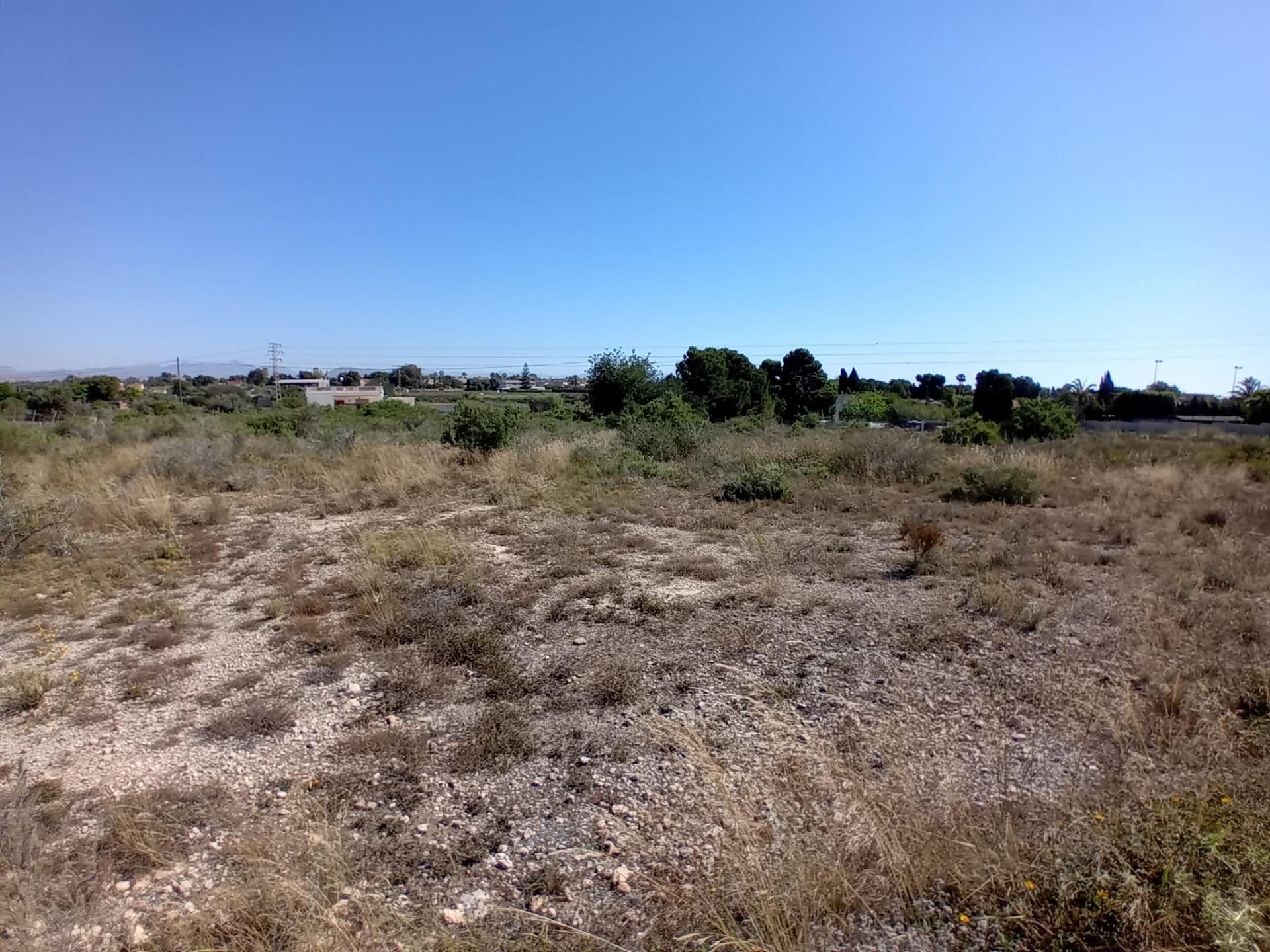 Terreno en venta en Elche / Elx