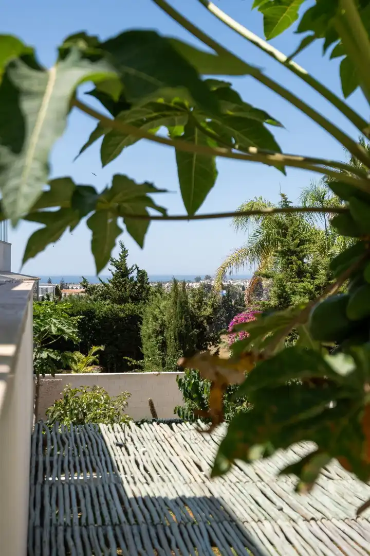 Wohnung mit Pool zum Verkauf in Calle los Granados 18, imagen 18
