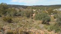 Land for sale in Algimia de Alfara