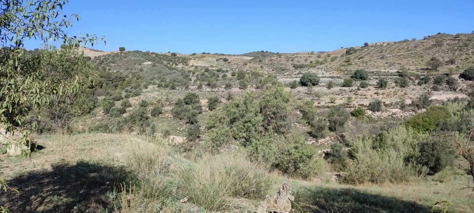 Finca rústica en venta en Lorca con Calefacción